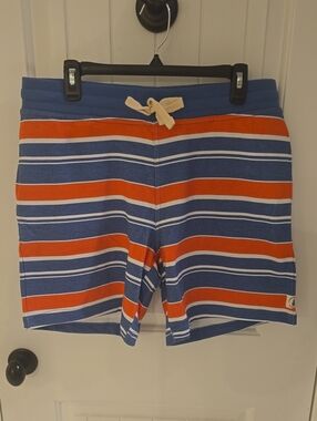 Chubbies Blue and Orange Striped Going Coastal Schworts